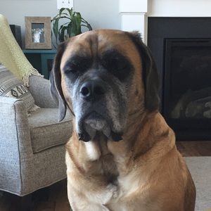 Meet your Posher, Greg